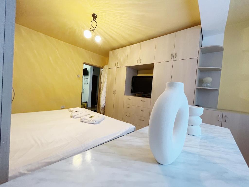 דירות Timisoara Central Apartament מראה חיצוני תמונה