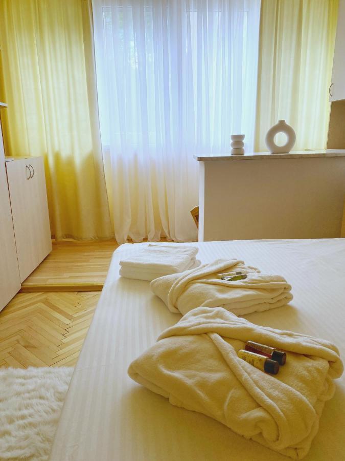 דירות Timisoara Central Apartament מראה חיצוני תמונה