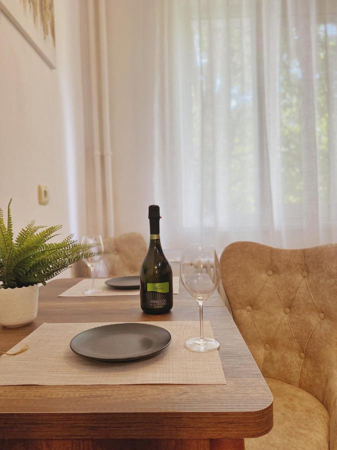 דירות Timisoara Central Apartament מראה חיצוני תמונה