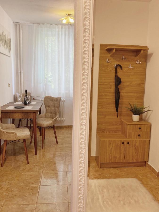 דירות Timisoara Central Apartament מראה חיצוני תמונה