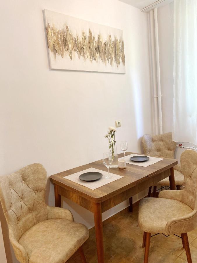 דירות Timisoara Central Apartament מראה חיצוני תמונה