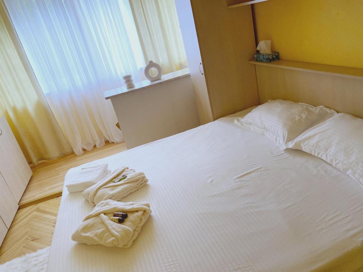 דירות Timisoara Central Apartament מראה חיצוני תמונה